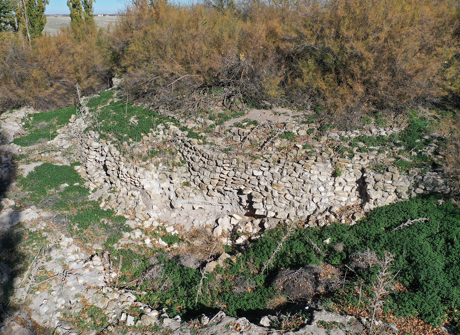 restos-yacimiento-el-acequion-albacete